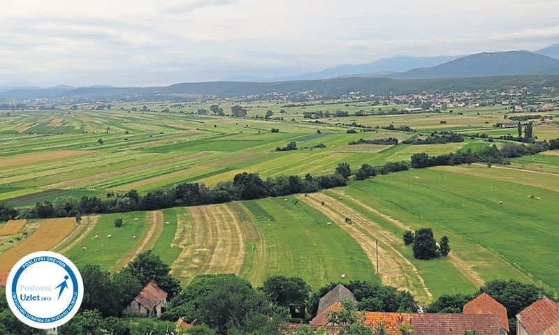 Sinjsko polje/D. Puklavec/PIXSELL