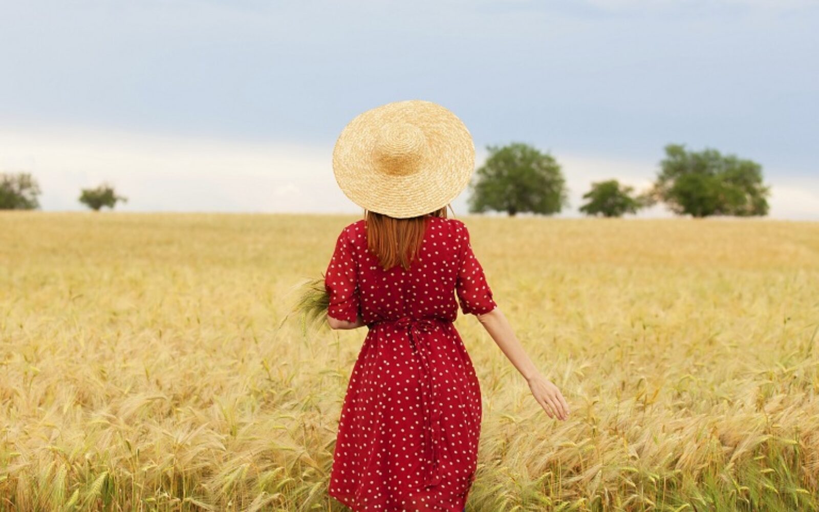 На поле пшеницы в Красном платье