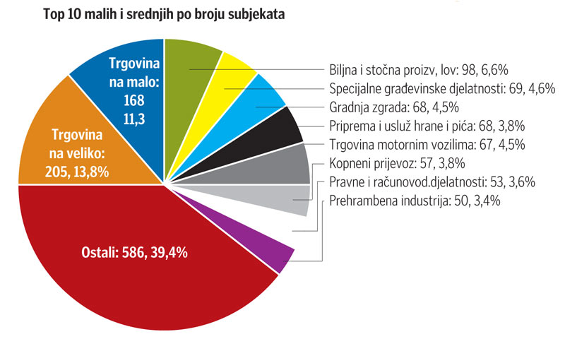 Top 10 malih i srednjih po broju subjekata