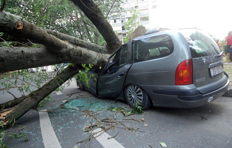 Zbog jakog vjetra stablo se srušilo na automobil u Travnom. Photo: Luka Stanzl/PIXSELL