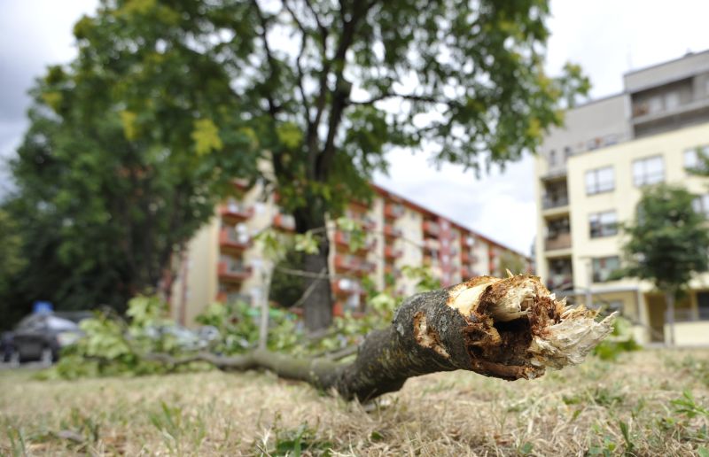 Nakon učerašnjeg olujnog nevremena pale su temperature u gradu. Photo: Marko Lukunic/PIXSELL