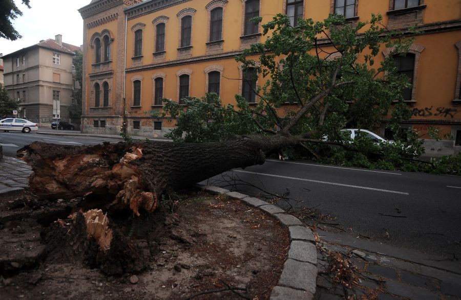 Vjetar je srušio stablo na automobil u Klaićevoj ulici. Photo: Daniel Kasap/PIXSELL