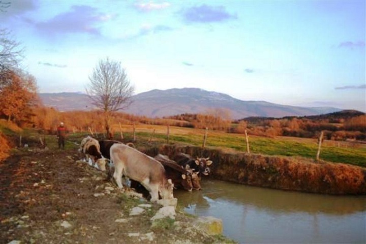 Agroturizam Stara Štala