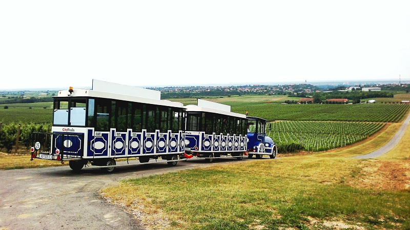 Iločkom vinskom cestom, rute vlakićem, TZG Vinkovaca