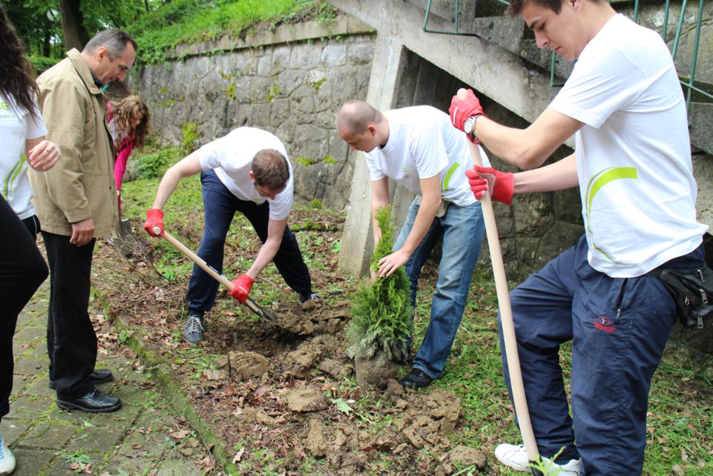 Djelatnici HEP Opskrbe sadili stabla kod hidroelektrane Ozalj u okviru vlastite inicijative 