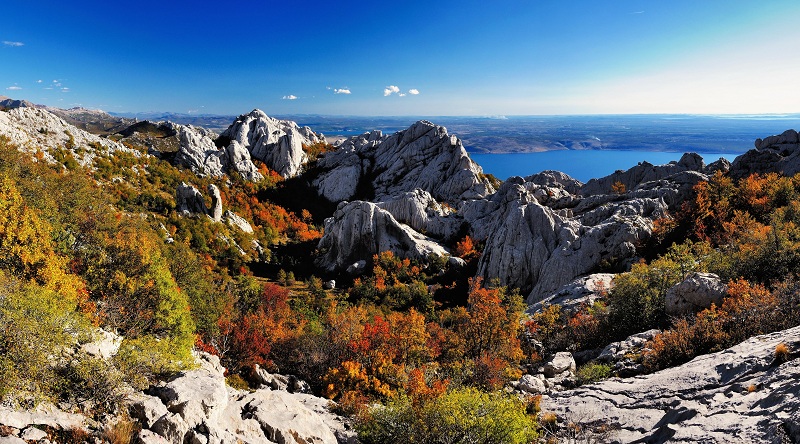 Paklenica, TZG Zadra