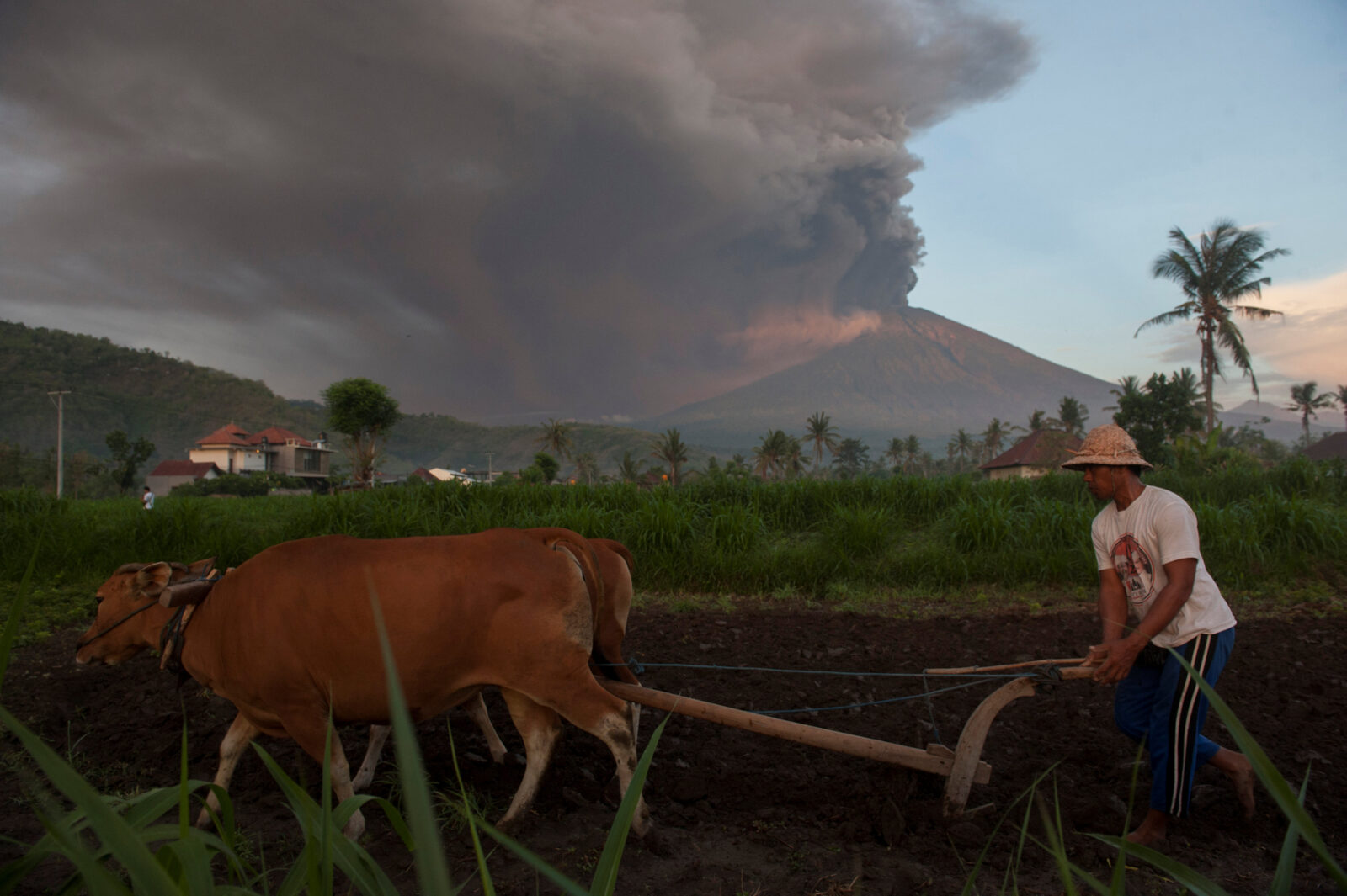 FOTO: Reuters