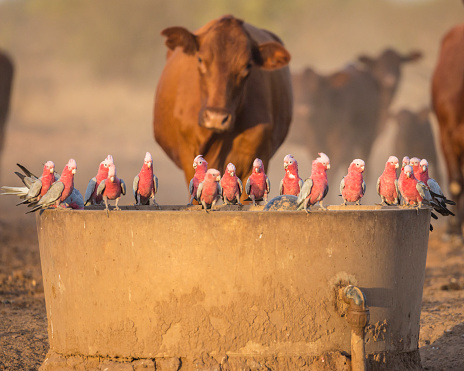 Foto: Getty Images