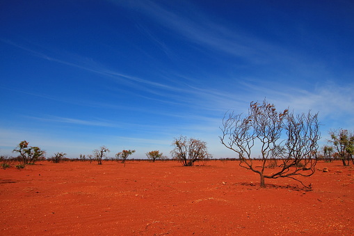 Foto: Getty Images