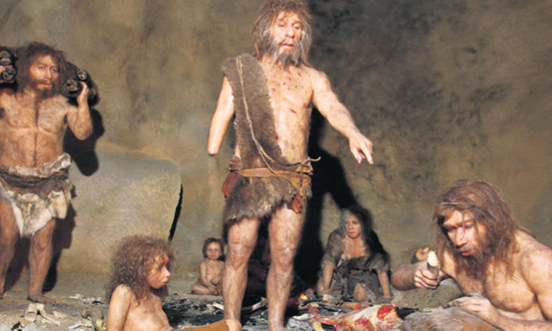 Muzej krapinskih neandertalaca/Matija Topolovec, Boris Ščitar/PIXSELL