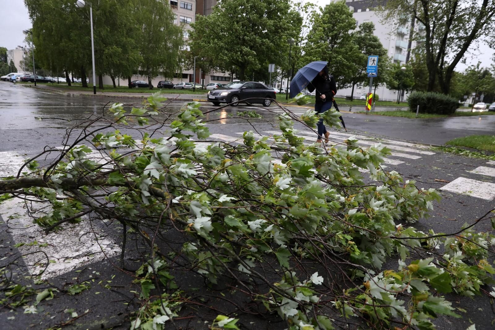 Foto: Matija Habljak/PIXSELL