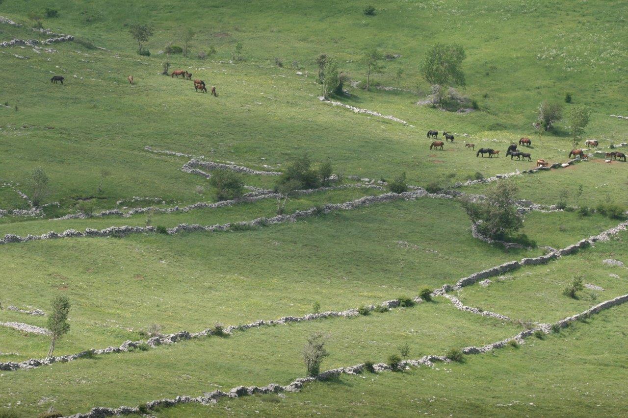 Jedna od fotografija iz nagrađene fotoreportaže „Proljeće na Velebitu“ Krunoslava Raca