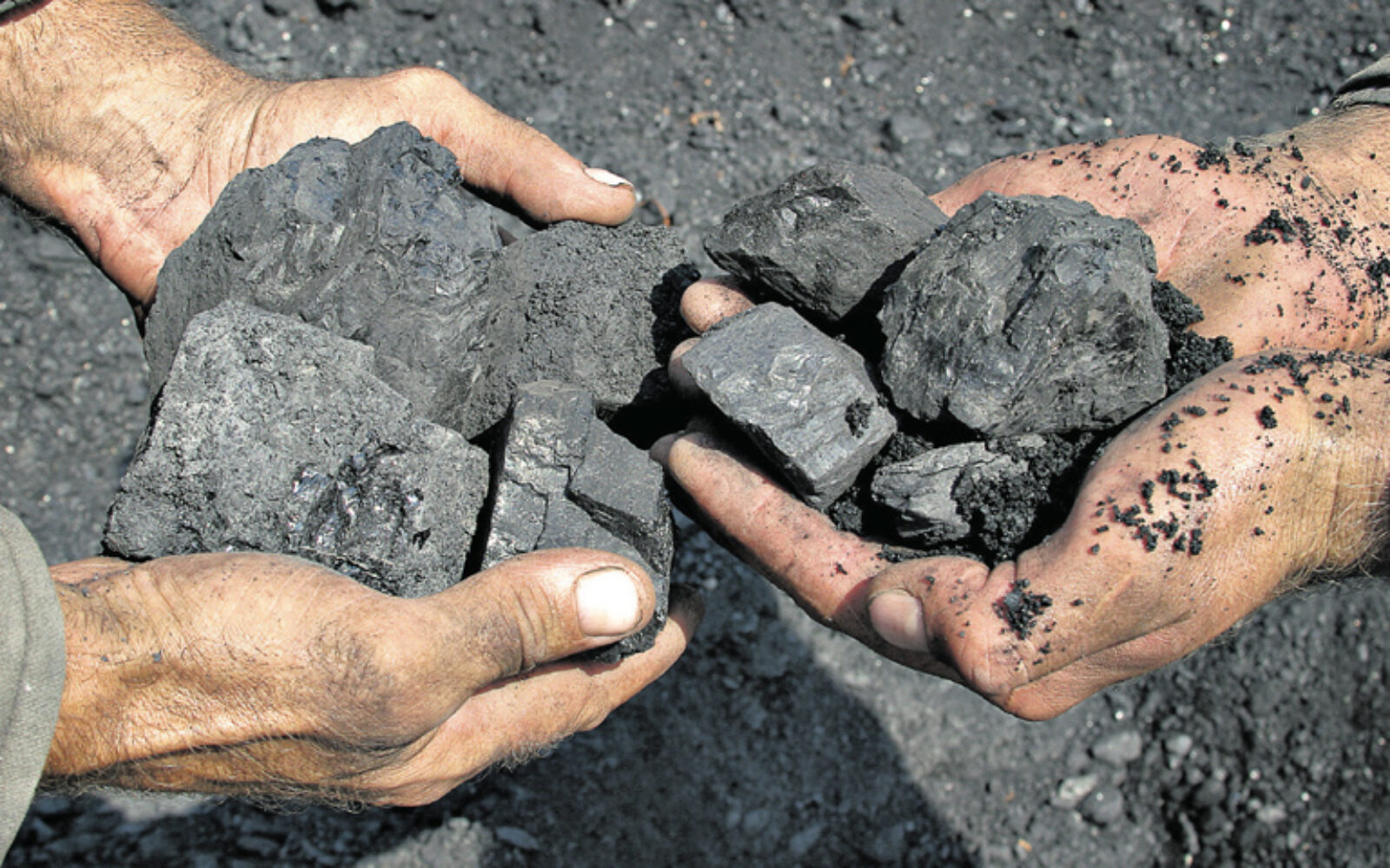 Coal miner. Уголь в руках Шахтера. Каменный уголь в человеческих руках.