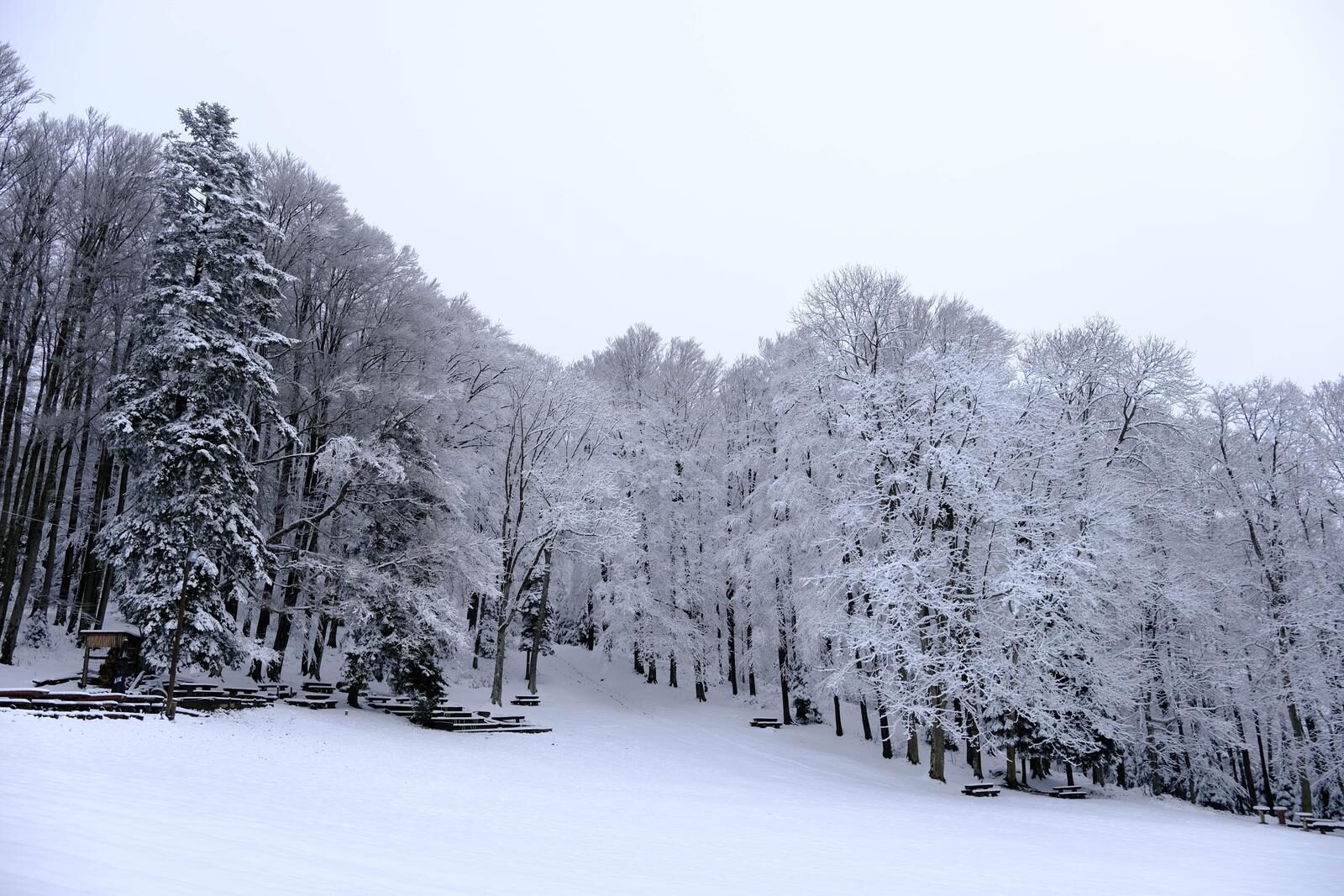 Prvi ovogodišnji snijeg zabijelio Sljeme