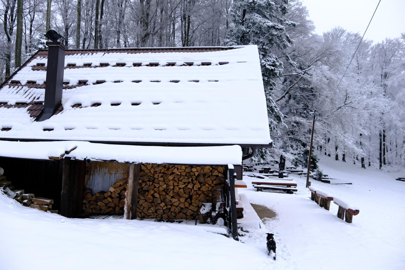 Prvi ovogodišnji snijeg zabijelio Sljeme