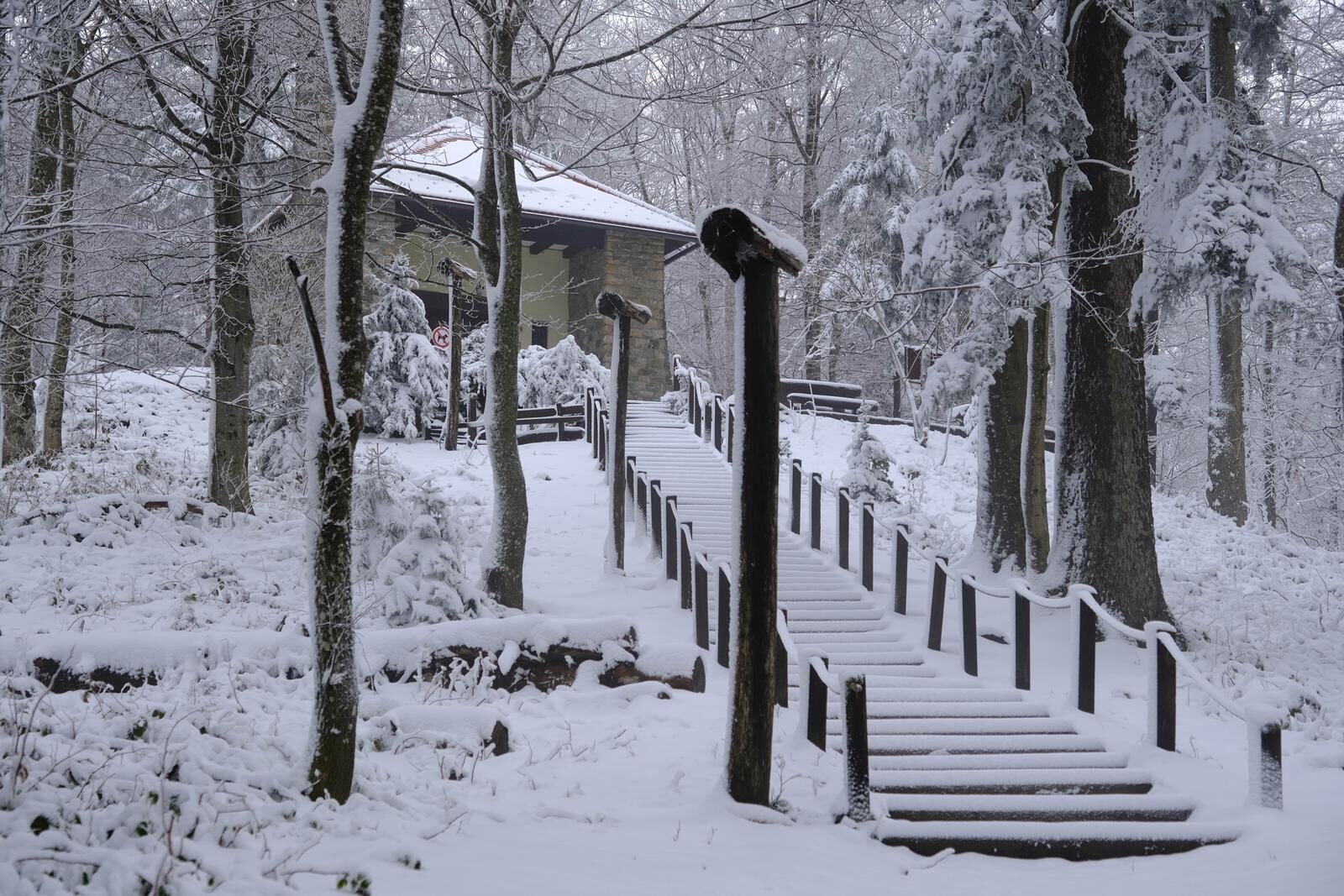 Prvi ovogodišnji snijeg zabijelio Sljeme