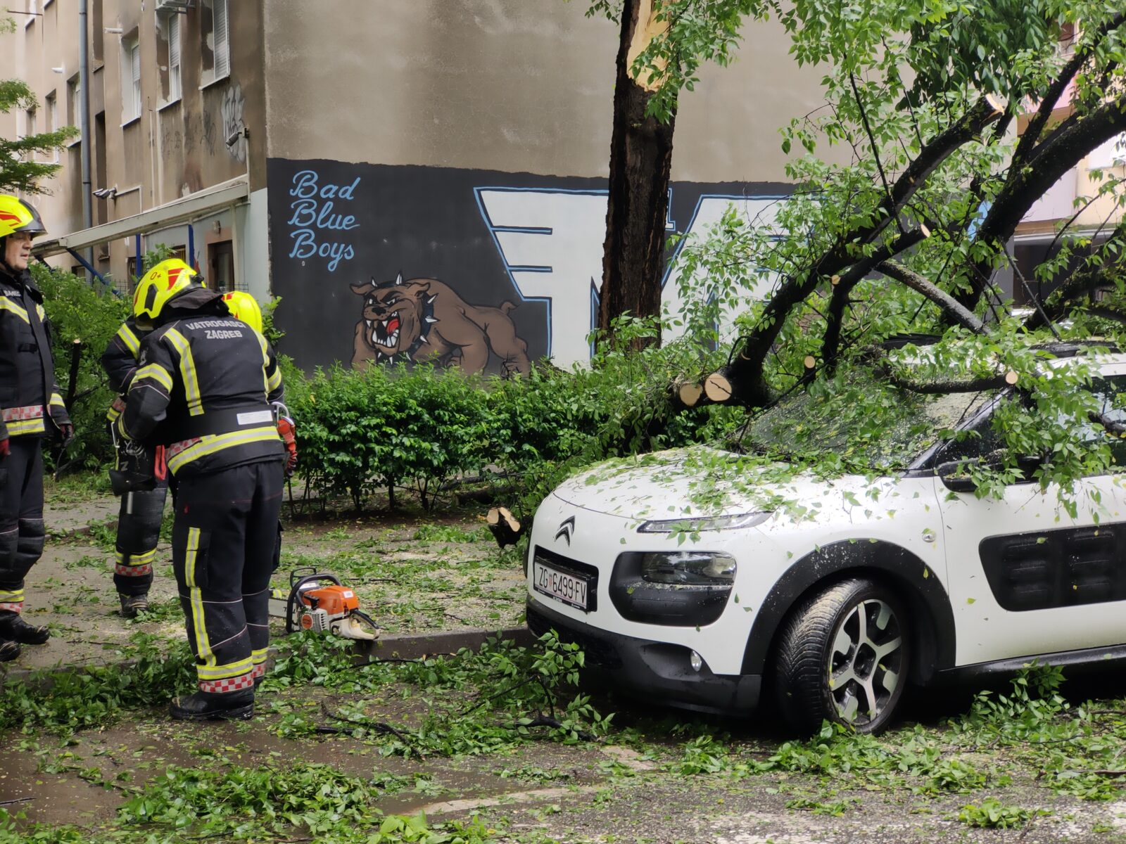 Zagreb: Sruilo se stablo na automobil u Marti?evoj ulici