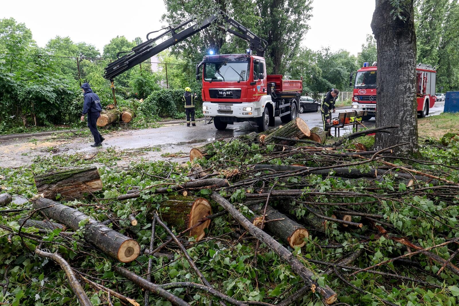 Nevrijeme pogodilo Zagreb, vjetar rušio drveća na automobile