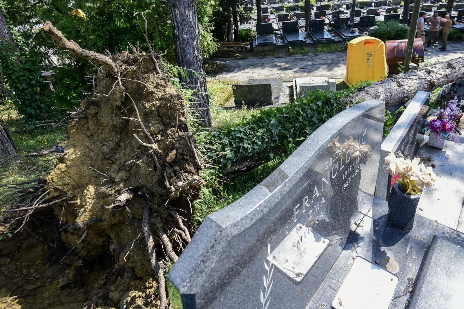 Zagreb: Olujno nevrijeme poharalo Mirogoj, stabala padala po grobovima