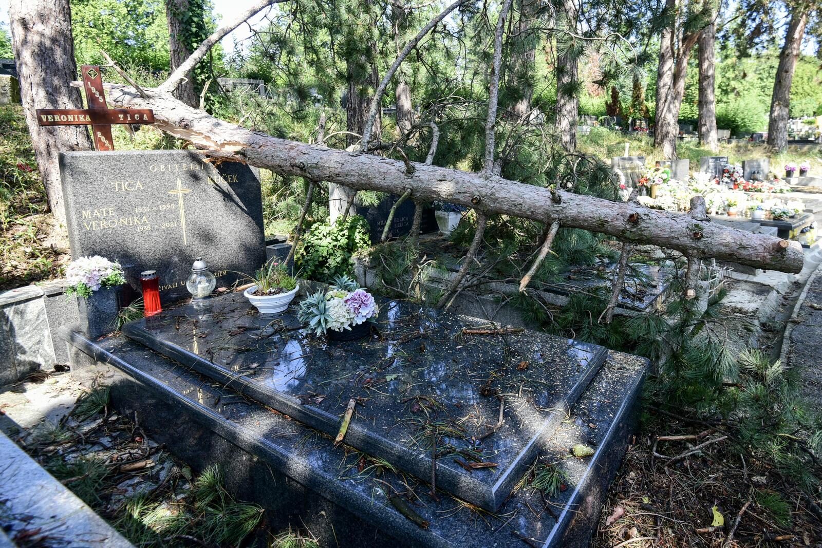 Zagreb: Olujno nevrijeme poharalo Mirogoj, stabala padala po grobovima