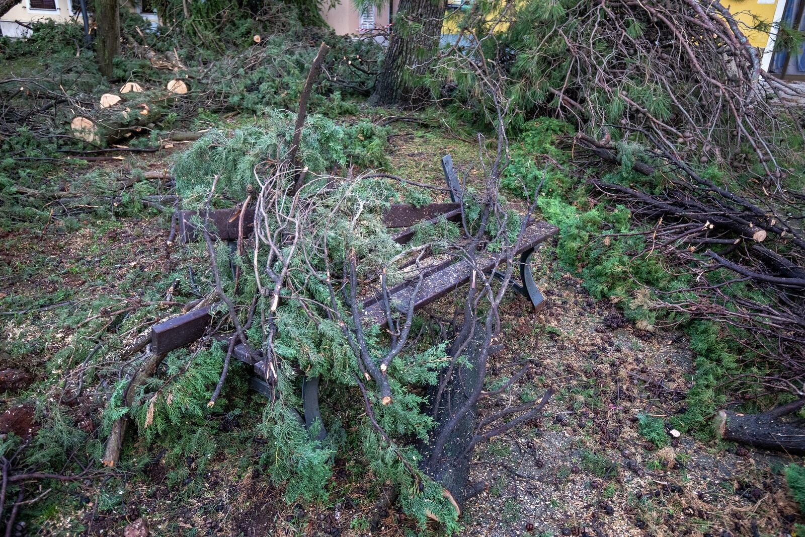 Novigrad: Velika šteta nakon razornog vjetra