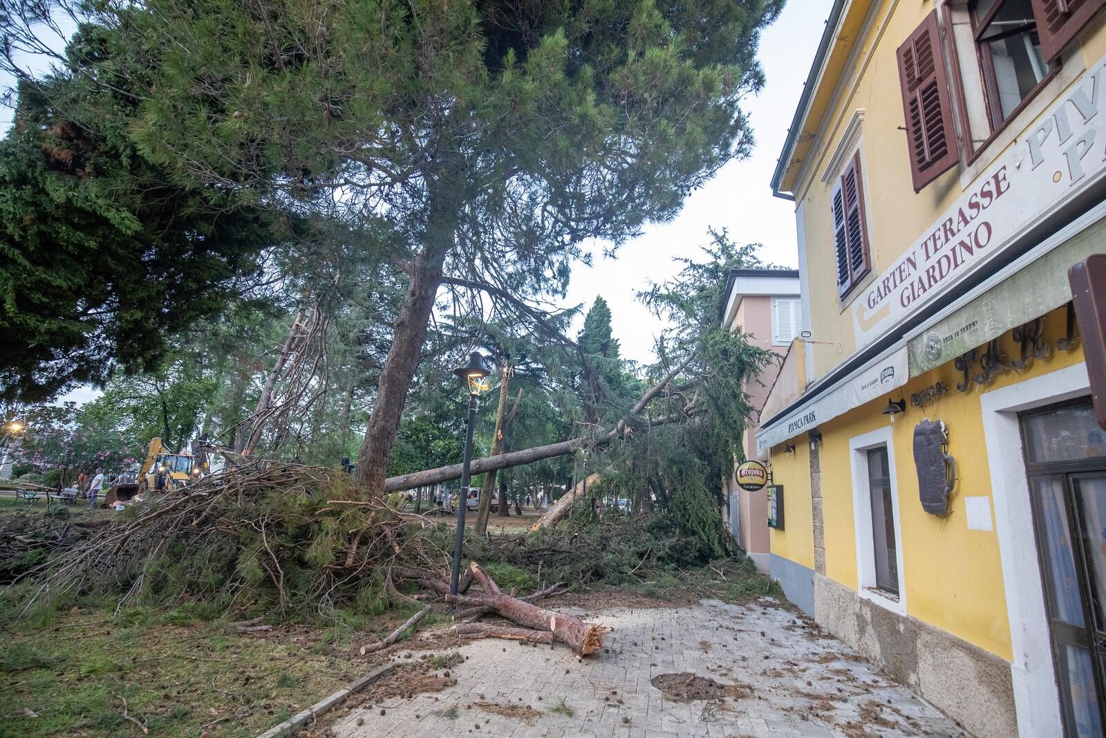 Novigrad: Velika šteta nakon razornog vjetra