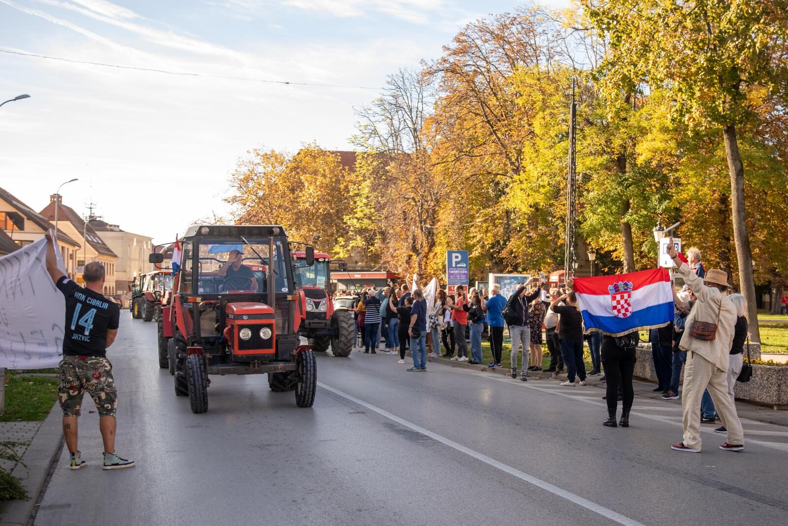 Prosvjed svinjogojaca u Vinkovcima zbog afričke svinjske kuge