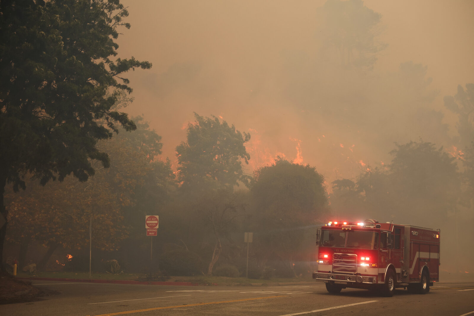 Wildfires in Los Angeles